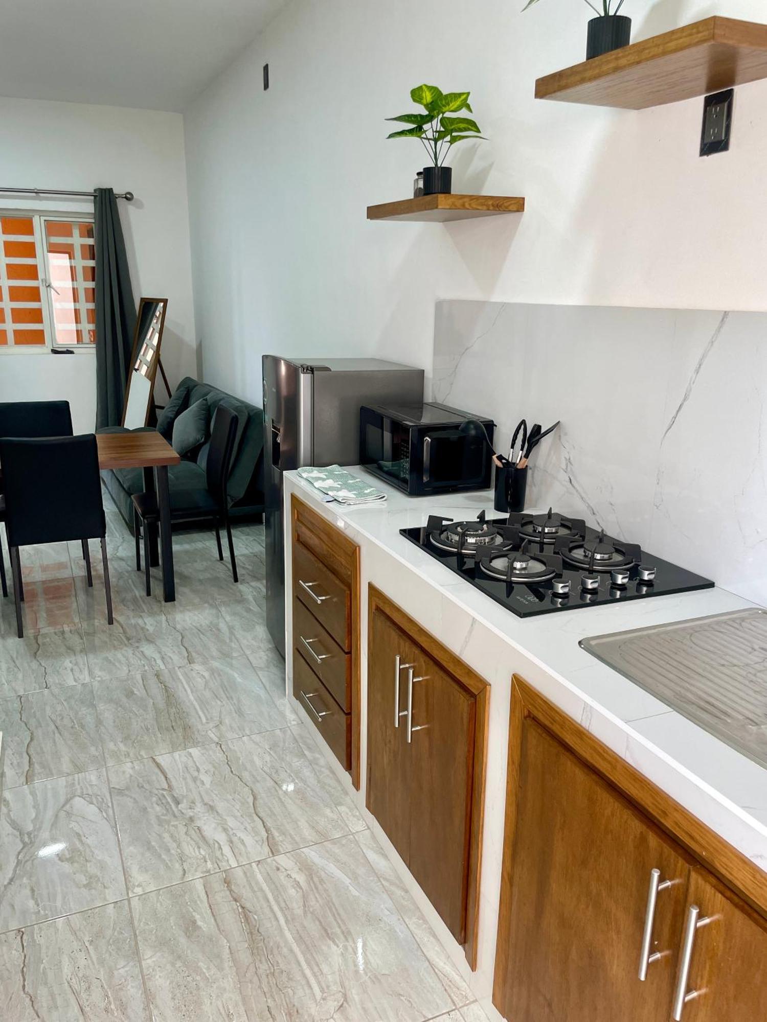 테킬라 Casa Madera - Departamento 2 아파트 외부 사진